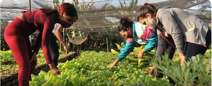AgriculturaUrbana